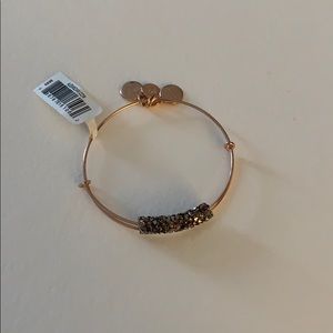 Alex and Ani Rose Gold Bangle Warm Grey Bead